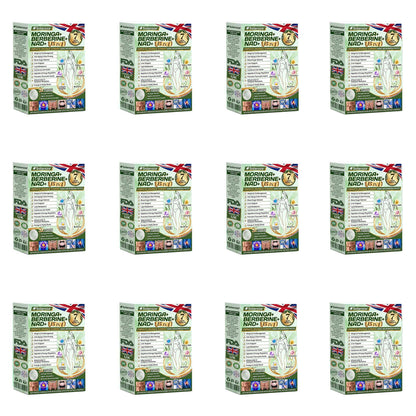 ⚡Official Store | 🍋 solaroza® Moringa & Berberine 10-IN-1 Advanced Nano Microneedle 1 Patch (Once Daily, visible changes in 7 days) ✅ Obesity, Diabetes, Sleep Apnea, And Joint Issues