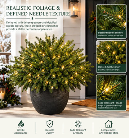 🔥Hot Sale 50% OFF🎄Enchanted Evergreen Pine with Lights