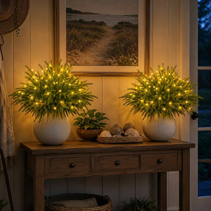 🔥Hot Sale 50% OFF🎄Enchanted Evergreen Pine with Lights